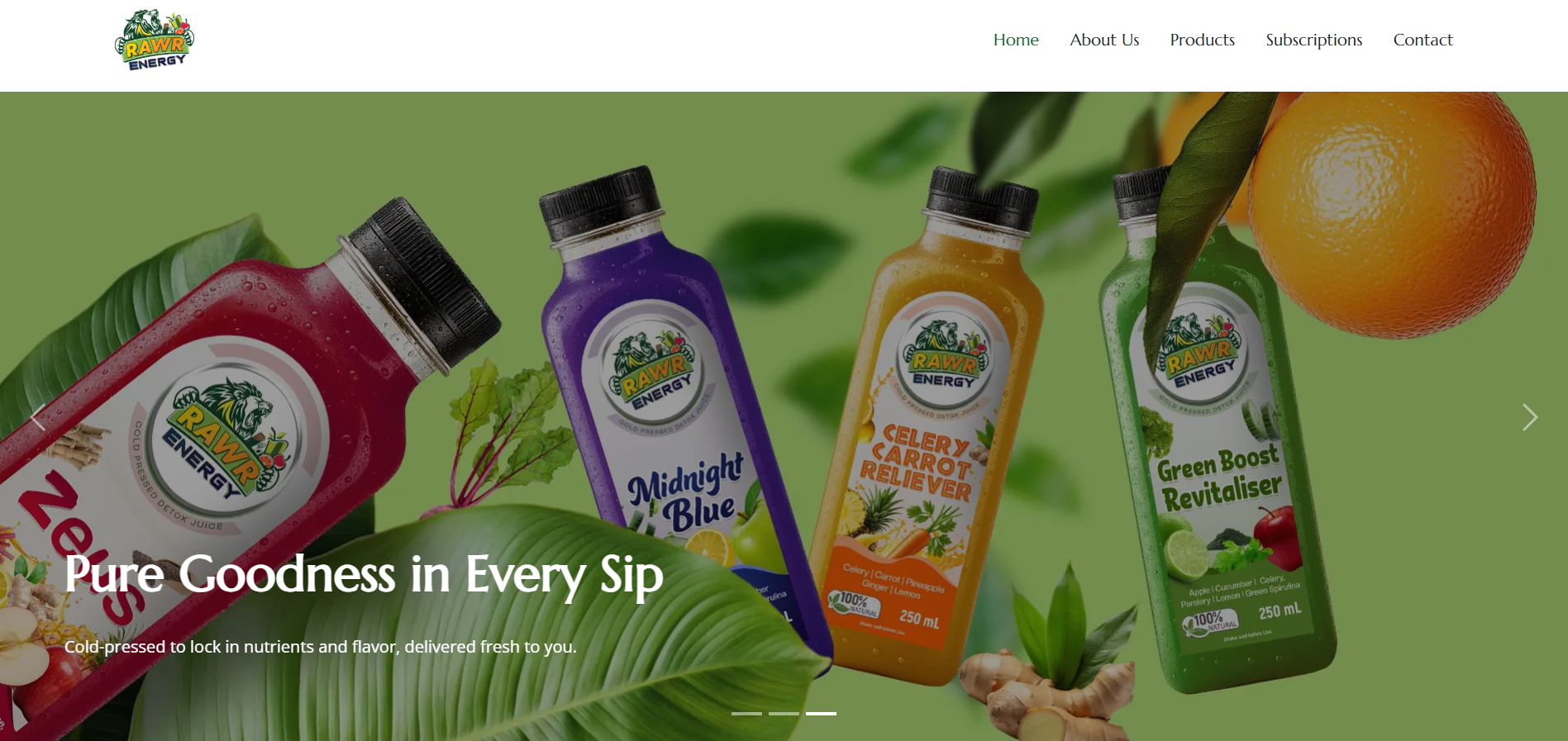 Travel Agency Website