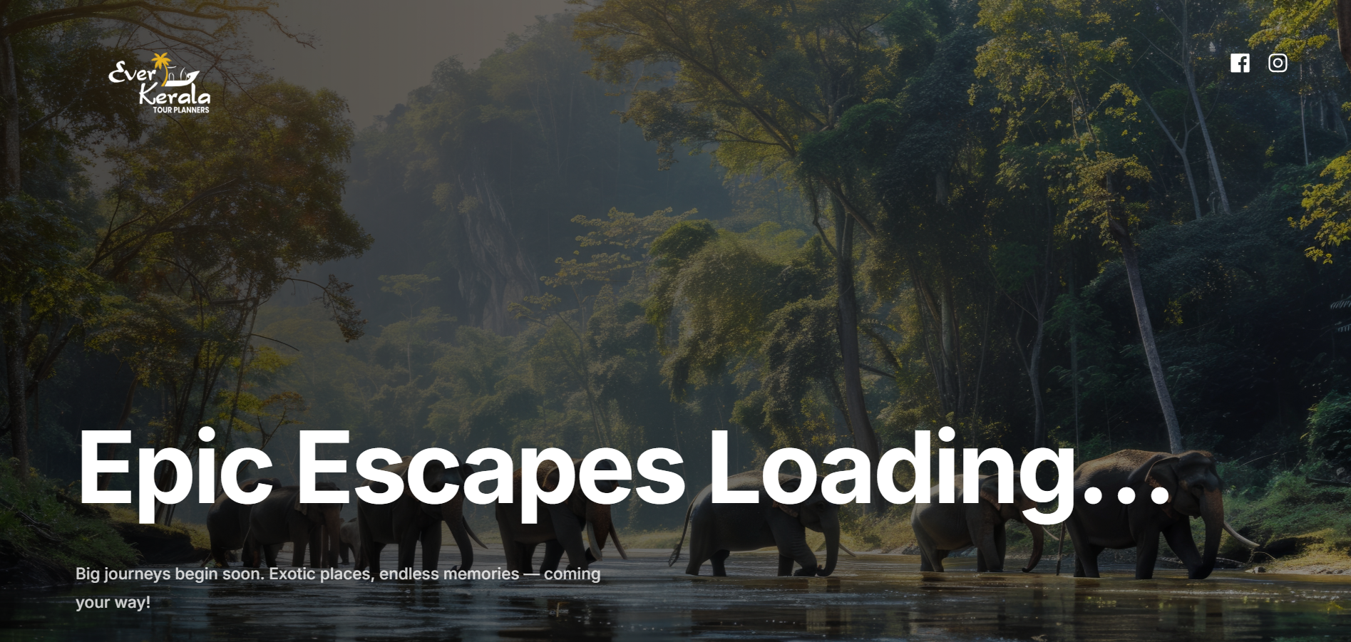 Travel Agency Website